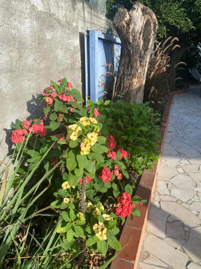 Au Pipiri Leve Apartment Schoelcher Luaran gambar