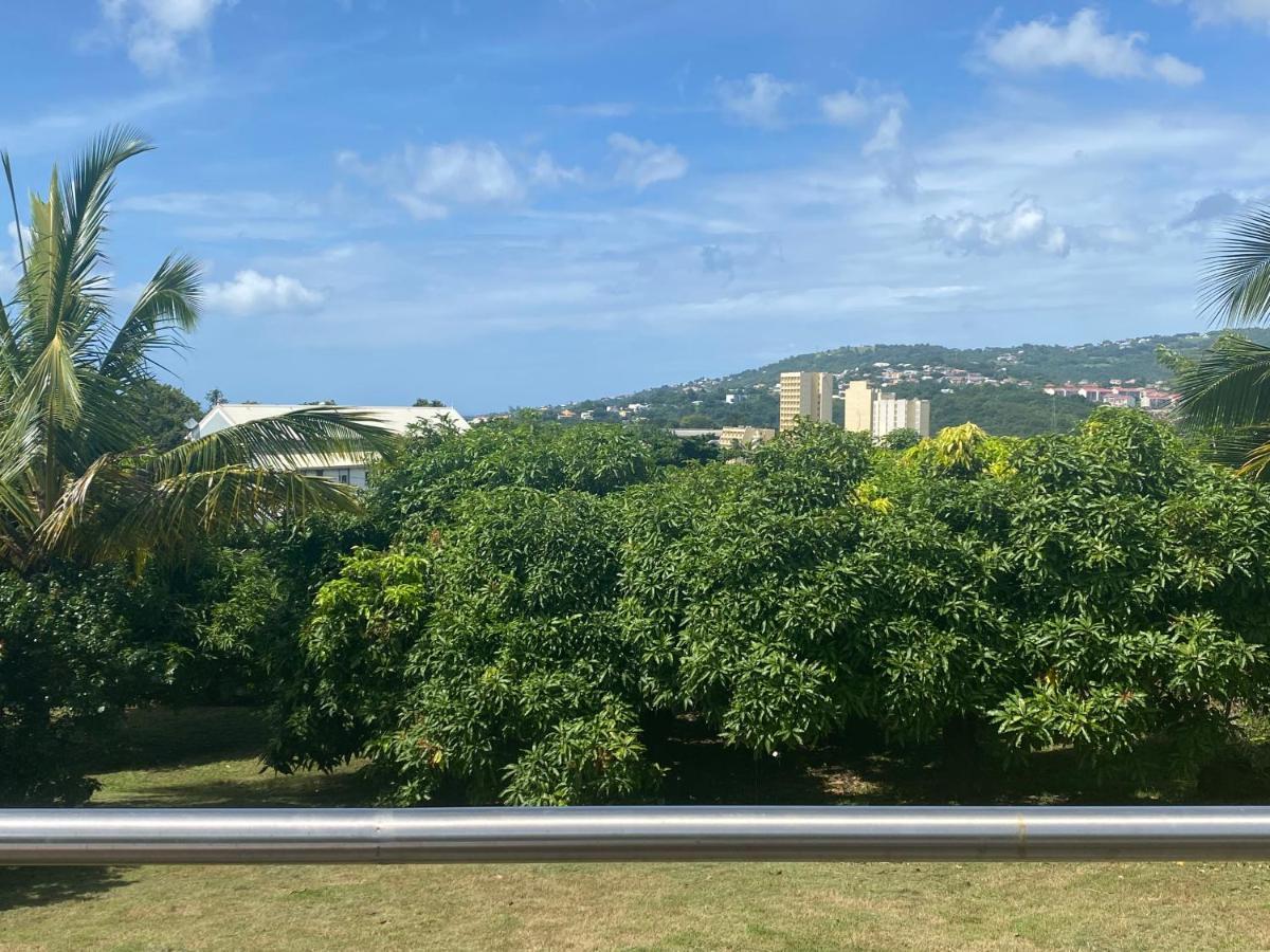 Au Pipiri Leve Apartment Schoelcher Luaran gambar